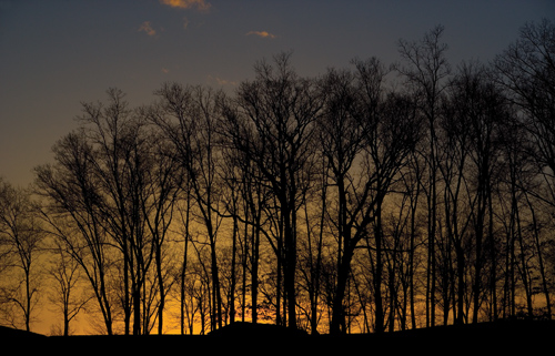 Zobaczy� �wiat�o - Rozdzia� 3