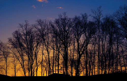 Zobaczy� �wiat�o - Rozdzia� 3