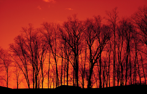 Zobaczy� �wiat�o - Rozdzia� 3