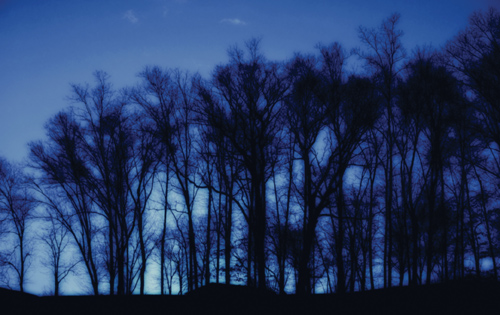 Zobaczy� �wiat�o - Rozdzia� 3