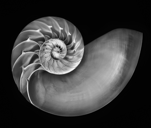 Czarno-bia�y kadr - Wizja monochromatyczna - Przesz�o��, tera�niejszo�� i przysz�o��