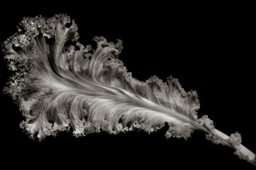 Czarno-bia�y kadr - Wizja monochromatyczna - My�lenie w czerni i bieli