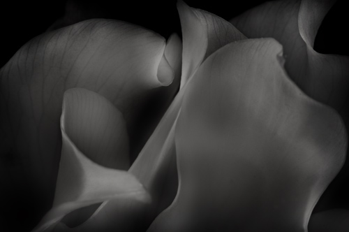 Czarno-bia�y kadr - Wizja monochromatyczna - Techniki wst�pnej wizualizacji