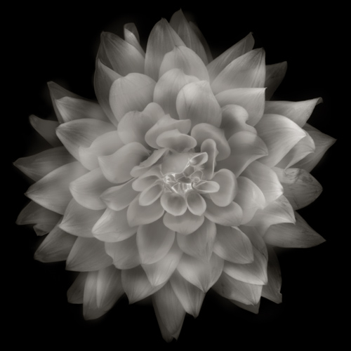 Czarno-bia�y kadr - Wizja monochromatyczna - Kompozycja czarno-bia�a