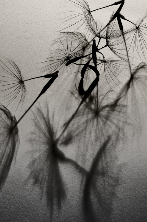 Czarno-bia�y kadr - Wizja monochromatyczna - Kompozycja czarno-bia�a