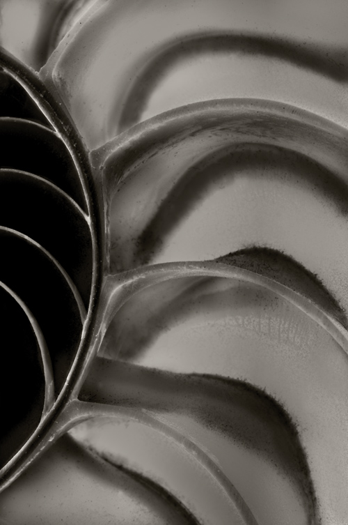 Czarno-bia�y kadr - Wizja monochromatyczna - Kszta�t i forma