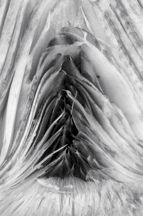 Czarno-bia�y kadr - Wizja monochromatyczna - Kszta�t i forma