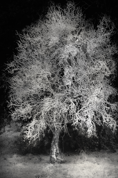 Czarno-bia�y kadr - Wizja monochromatyczna - Szukanie monochromatycznych temat�w