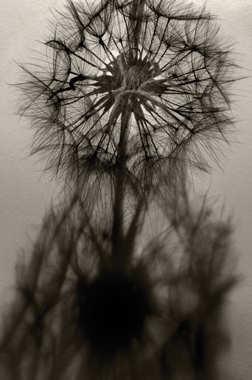 Czarno-bia�y kadr - Wizja monochromatyczna - Szukanie monochromatycznych temat�w