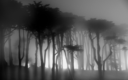 Czarno-bia�y kadr - Wizja monochromatyczna - Czer� i biel w nocy