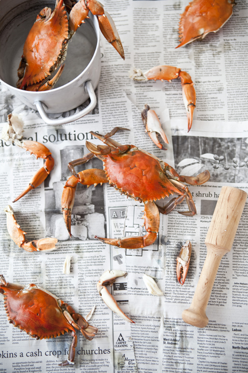 Uj�cia ze smakiem - kompozycja - �rodek kadru