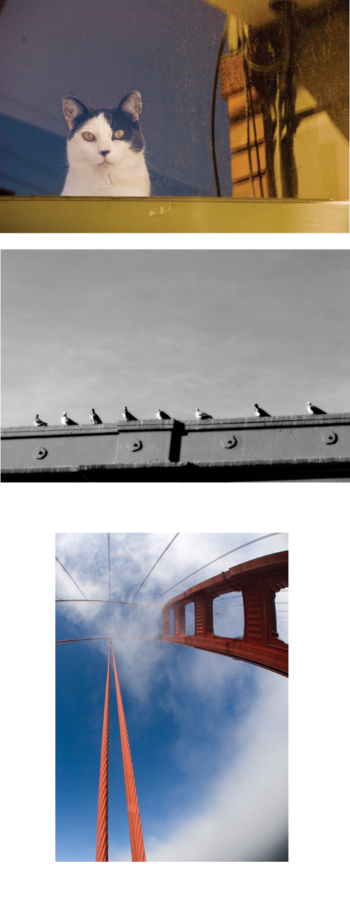 Wyszukiwanie i komponowanie tematu zdj�cia - Patrzenie a widzenie