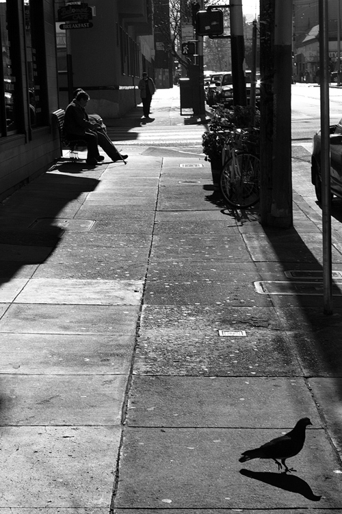 Wyszukiwanie i komponowanie tematu zdj�cia - Znajdowanie tematu zdj�cia