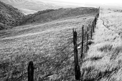 Wyszukiwanie i komponowanie tematu zdj�cia - Znajdowanie tematu zdj�cia