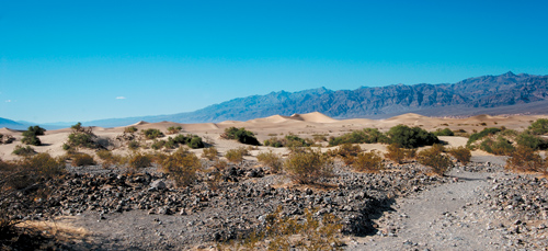 Wyszukiwanie i komponowanie tematu zdj�cia - Znajdowanie tematu zdj�cia