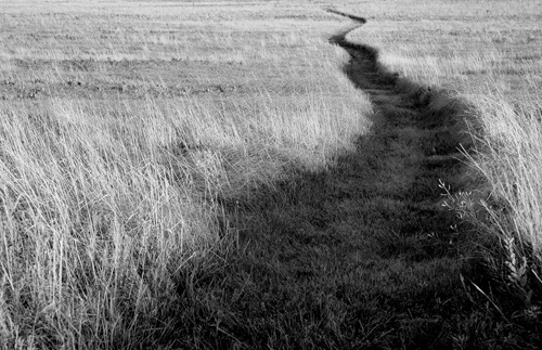 Wyszukiwanie i komponowanie tematu zdj�cia - Kompozycja