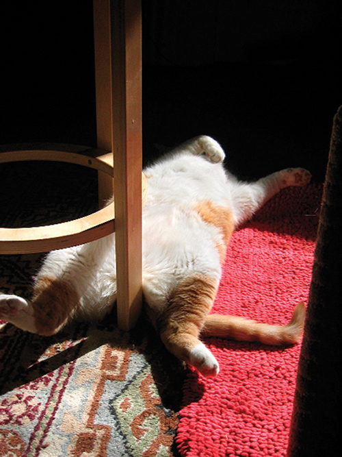 Wyszukiwanie i komponowanie tematu zdj�cia - Komponowanie jasnych i ciemnych ton�w