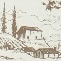 Fujifilm X-E1 - Jako�� obrazu JPEG