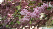 Samsung NX300 - Zdjcia przykadowe