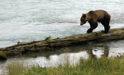 Uchwycone obiektywem. Lekcje legendarnego fotografa dzikich zwierz�t