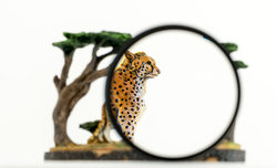  Makrofotografia - jak zacz��?