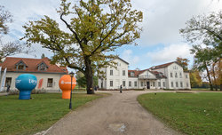 Festiwal Optyczny - �och�w 2016 - relacja