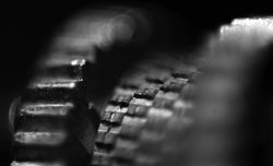 Zdj�cia makro - �wiat w powi�kszeniu