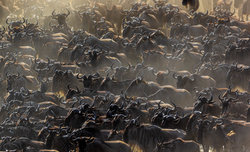 Jak powsta�y zwyci�skie zdj�cia? - Tomasz Szpila 