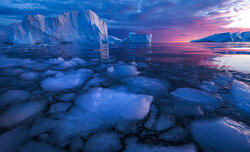 Jak powsta�y zwyci�skie zdj�cia - Marcin Dobas 