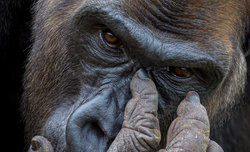 Jak powsta�y zwyci�skie zdj�cia? - Tomasz Szpila 