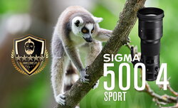 SIGMA 500 mm f/4 DG OS HSM Sport w r�kach Dariusza Bresia
