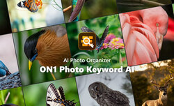 ON1 Photo Keyword AI
