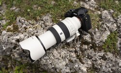 Sony FE 70–200mm f/4 Macro G OSS II