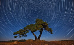Obiektywy szerokoktne Sigma w astrofotografii