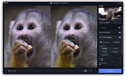 Topaz Photo AI 2.0