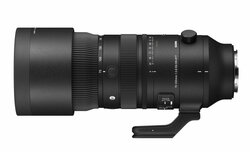 Sigma 70-200 mm f/2.8 DG DN OS Sports