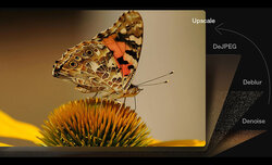 Aiarty Image Enhancer na rok za darmo