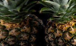 Kszta�towanie obrazu o�wietleniem