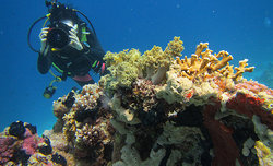 Olympus E-PL3 pod wod�