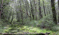 Wyszukiwanie i komponowanie tematu zdj�cia