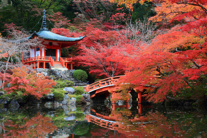 Zapraszamy na Fotomisj do Japonii
